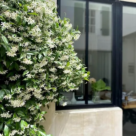 别墅 Elegante Maison De Village Au Coeur De La Noue *